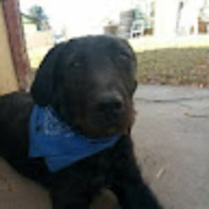 Meet your Posher, Sergio